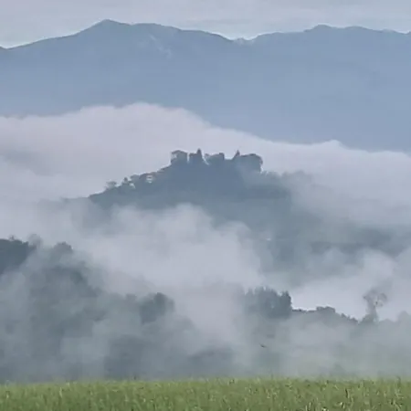 Cascina Binello A & B 펜션 *